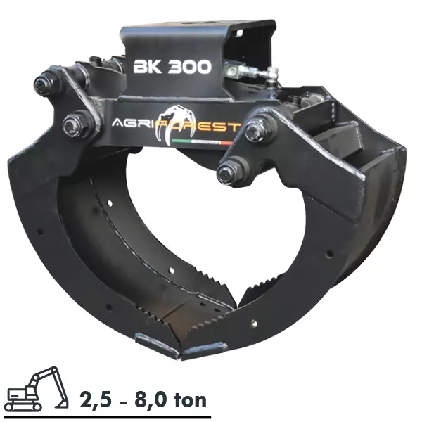 BK 300