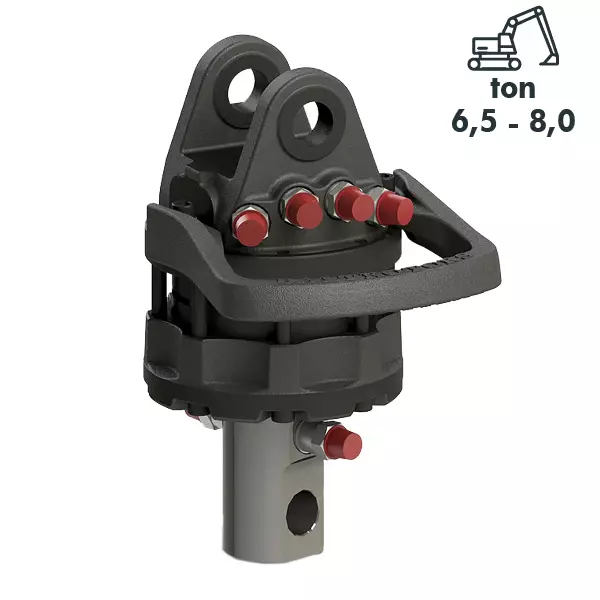 C 65/78 - (GR 60/78)